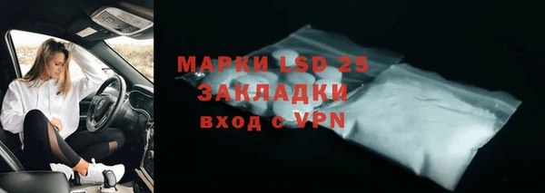трава Аркадак