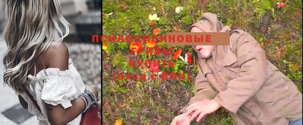 ALPHA PVP Арсеньев