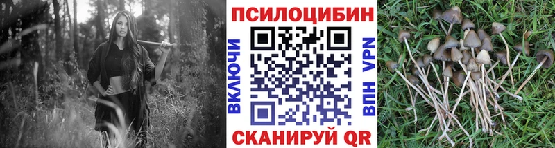 Галлюциногенные грибы прущие грибы  купить  цена  Валдай 